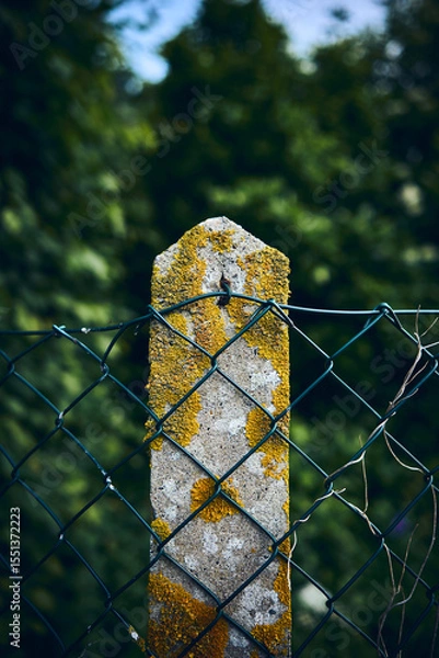 Fototapeta Mesh fence with concrete post. High quality photo