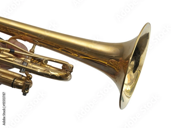 Fototapeta Trompete