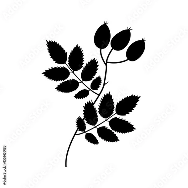 Fototapeta Hand Drawn Silhouette Rose Hip Branch with Leaves and fruits Themes Minimalistic Design element idea