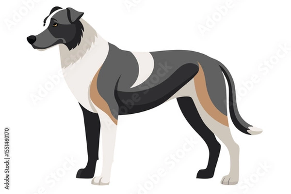Fototapeta Vector Illustration of a Calm and Noble Bluetick Coonhound Standing Tall with Graceful Fur Patterns and a Dignified Posture