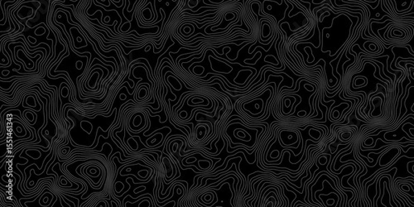 Obraz  topographical map style background with white contour lines on a black surface background.