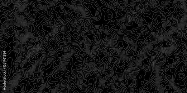 Obraz  topographical map style background with white contour lines on a black surface background.