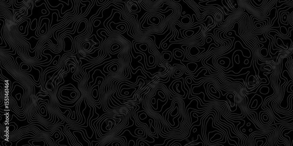 Obraz Topographic contour lines in white on a black background creating a detailed map like pattern.
