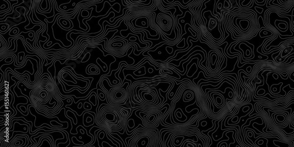 Obraz Topographic contour lines in white on a black background creating a detailed map like pattern.