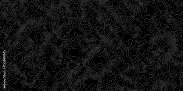 Obraz Topographic contour lines in white on a black background creating a detailed map like pattern.