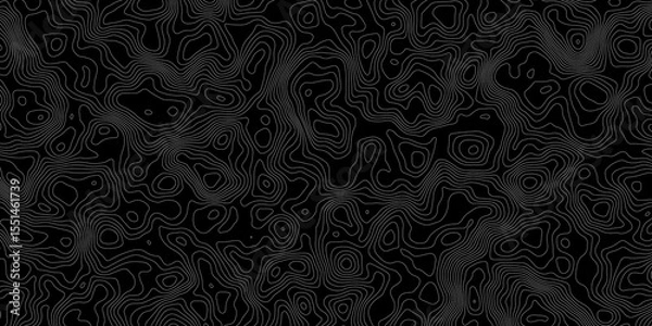 Obraz Topographic contour lines in white on a black background creating a detailed map like pattern.