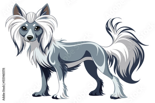 Fototapeta Elegant Chinese Crested Dog with Flowing White Mane and Tail, Standing in a Graceful Pose on a White Background