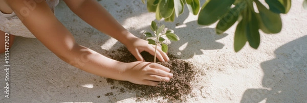 Obraz Child planting young sapling in rich soil, symbolizing growth and care