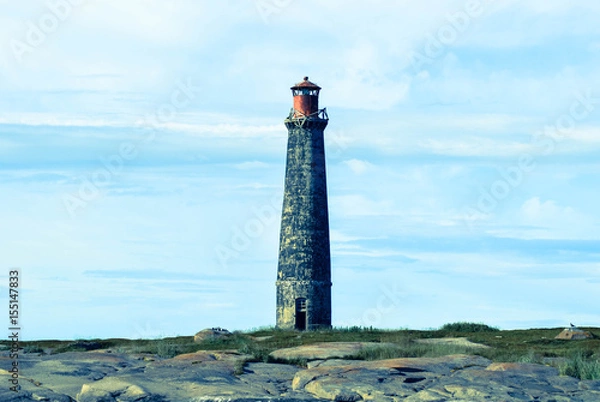 Obraz Sea, lighthouse, seal
