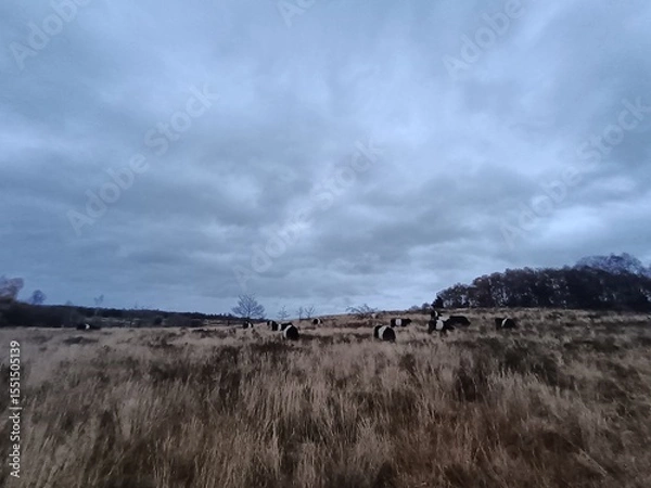 Obraz clouds in the mountains