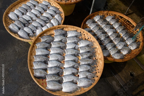 Obraz Snake skin gourami on circle threshing basket