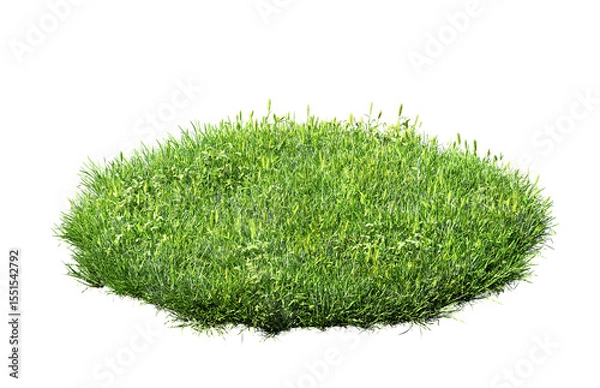 Obraz green grass turf isolated on white background