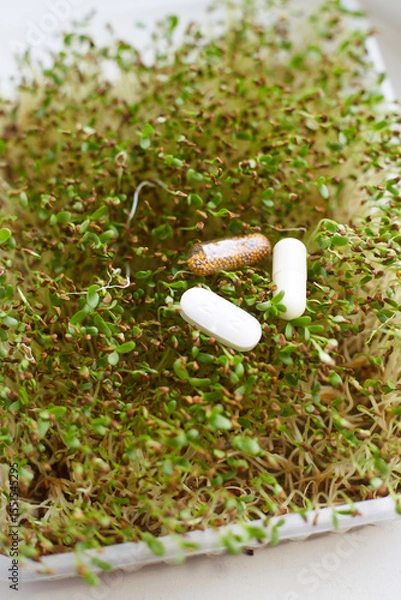 Fototapeta Sprouts growing in a container with dietary supplements among the greenery in a bright kitchen setting