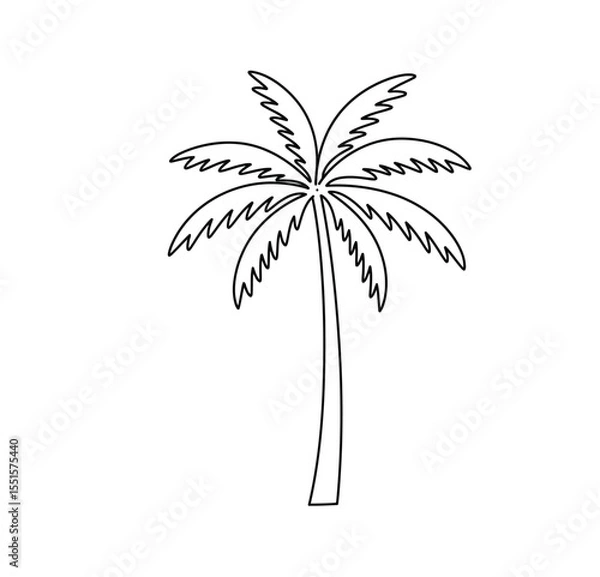 Fototapeta Palm tree drawing. It is a vector sketch line art drawing of a palm tree with characteristic fanned leaves, symbolizing tropical beaches and warm climates. Vector sketch line art draw.