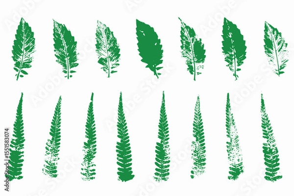 Fototapeta Natural leaves imprint, grunge style, vector, isolated, decorative elements for design	