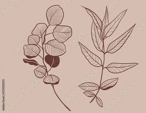 Fototapeta Hand drawn linear illustration of a protea flower in brown ink on a beige background. Elegant botanical sketch in minimal vintage style.Perfect for floral prints, packaging, wedding design