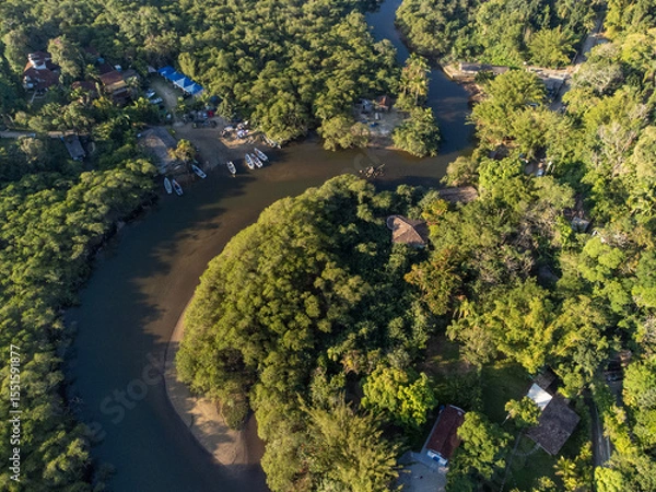Obraz green water river in the middle of the Atlantic forest