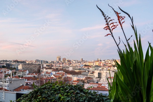 Obraz Beautiful Lisbon Rooftop and sky Views