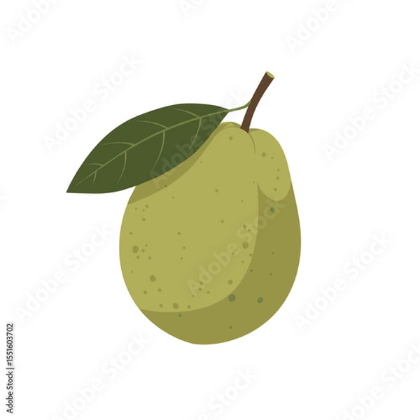 Obraz Single Green Guava with Leaf Illustration.
