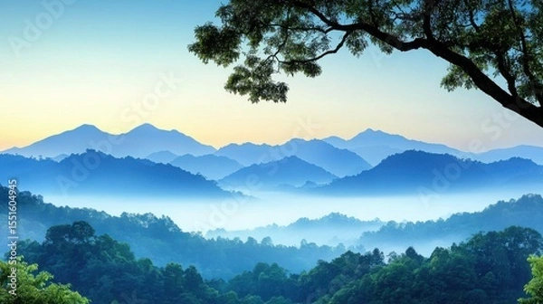 Obraz Scenic view of mountains and trees from a hill surrounded by fog and mist in a natural landscape