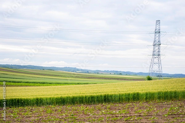 Fototapeta Silent fields stretch beneath the towering lattice of powerlines, capturing Lughnasadh whispers and the melancholy of Earth's quiet sighs