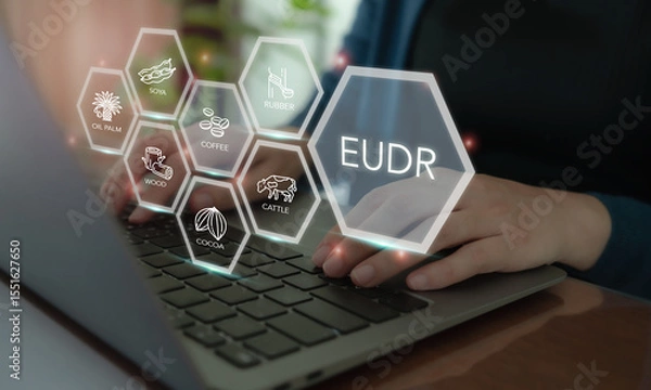 Obraz Implementation of the EU Deforestation Regulation (EUDR) concept. Using laptop with icons of regulated commodities; oil palm, soya, wood, cocoa, coffee, cattle, rubber. Traceability, sustainability.