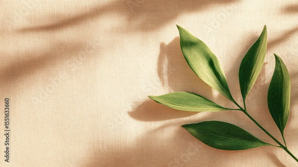 Obraz Minimalist Green Leaves and Shadow on Beige Linen Fabric