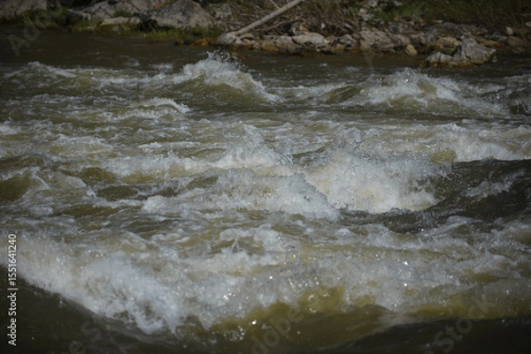 Obraz mountain river close-up. horizontal photography.