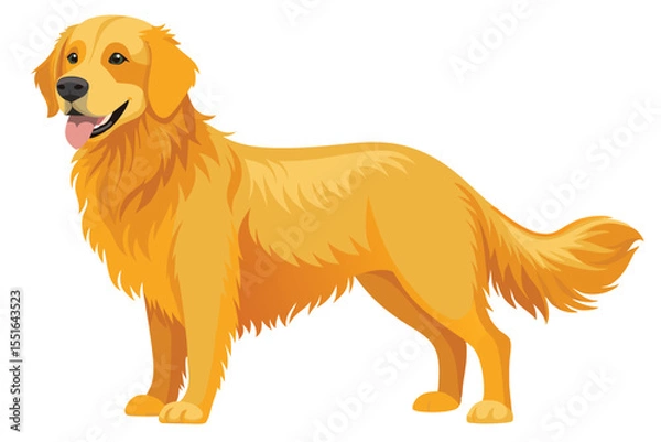 Fototapeta Golden Retriever Illustration Depicting Canine Breed with Distinctive Golden Coat Gentle Expression and Anatomical Accuracy Showcasing Breed Characteristics