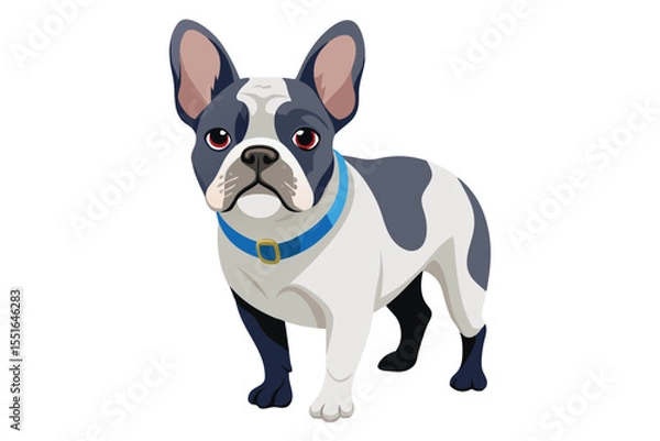 Fototapeta Illustrative French Bulldog with Blue Collar Stands Proudly Against a Clean White Backdrop, Showcasing its Distinctive Markings and Alert Expression