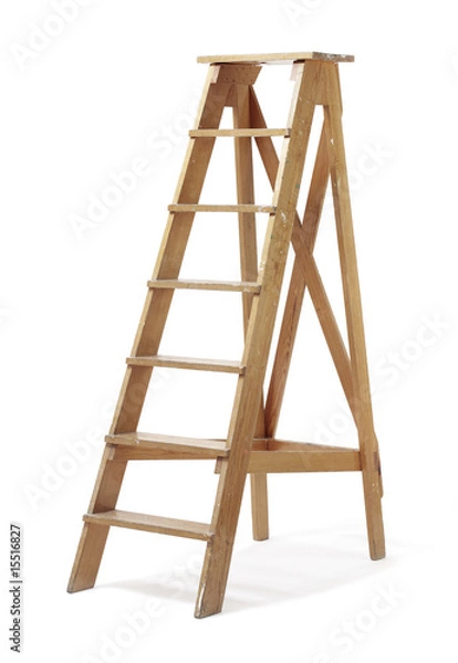 Obraz Old ladder