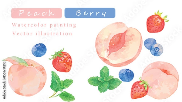 Fototapeta 水彩で描いた桃とベリーのベクターイラスト