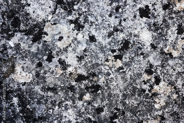 Fototapeta Rough Gray Stone Texture of an Ancient Castle Wall