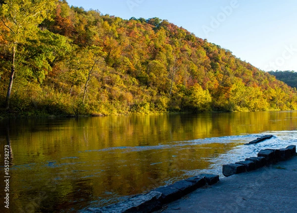 Fototapeta Fall trees by the river