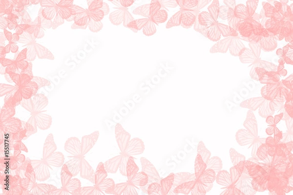 Fototapeta rose butterfly border 3/2