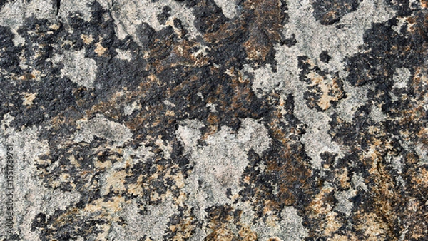 Fototapeta Rough granite stone texture showing lichens growing on surface