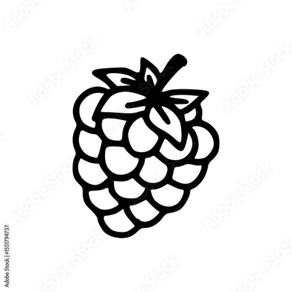 Fototapeta line drawing of raspberry