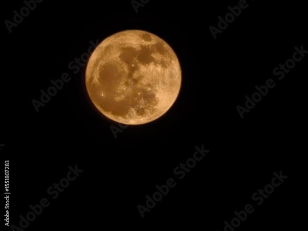 Obraz full moon over black