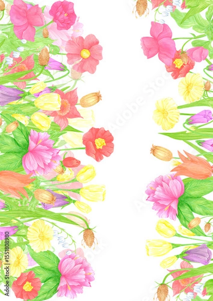 Fototapeta Hand drawn watercolor wildflowers and leaves postcard frame border. Flower of the field isolated on white background. Can be used for postcard, invitation, scrapbook and other printed products.