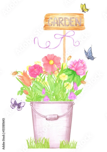 Fototapeta Hand drawn watercolor wildflowers and leaves in a bucket. Palisade composition isolated on white background. Can be used for postcard, label, scrapbook and other printed products.