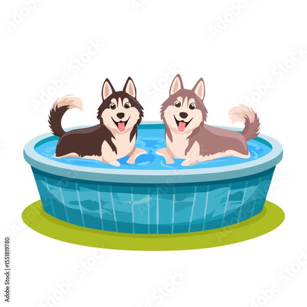 Obraz Two Huskies Cooling Off in a Pool on a Hot Day