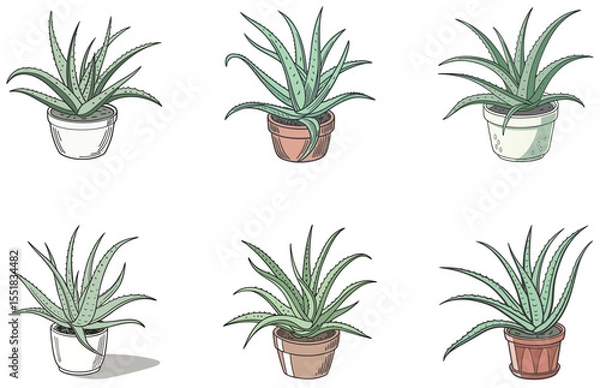 Obraz Aloe Vera in Pot Vector Designs Set Minimal Flat Plant Illustrations for Decor and Design