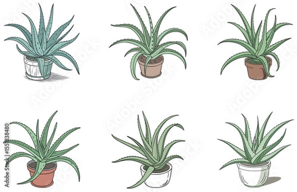 Obraz Aloe Vera in Pot Vector Designs Set Cute and Minimal Succulent Clipart Collection