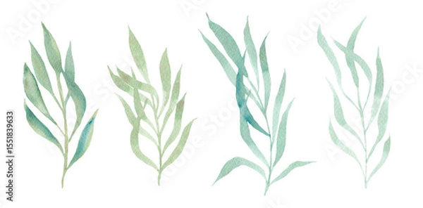 Fototapeta Set of delicate watercolor textured light green and teal fern leaves. Simple daisy and meadow herbs for botanical background design, textile patterns, frames, greeting cards