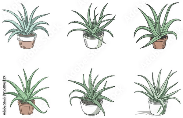 Obraz Aloe Vera in Pot Vector Designs Set Flat Minimal Succulent Illustrations for Stickers and Decor