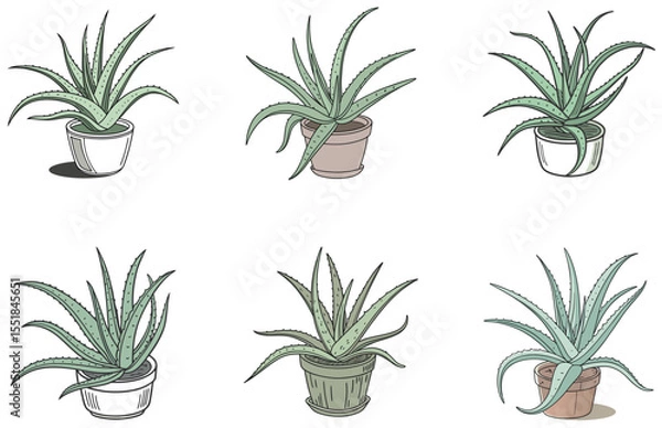Obraz Aloe Vera in Pot Vector Designs Set Minimal Flat Potted Plant Illustrations for Creative Use