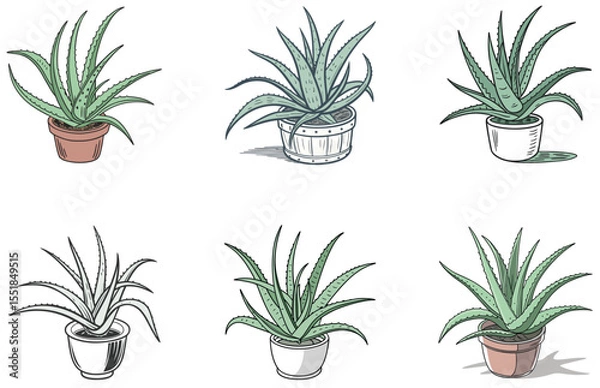 Obraz Aloe Vera in Pot Vector Designs Set Flat and Minimal Succulent Clipart Collection