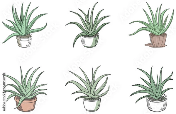 Obraz Aloe Vera in Pot Vector Designs Set Cute Minimal Flat Potted Succulent Illustrations