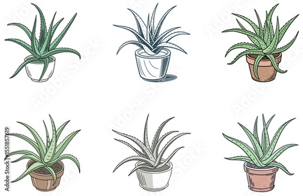 Obraz Aloe Vera in Pot Vector Designs Set Flat Minimal Succulent Plant Illustrations for Print and Digital Use