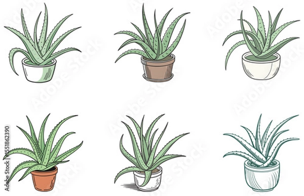 Obraz Aloe Vera in Pot Vector Designs Set Minimal Flat Potted Succulent Illustrations for Crafts and Design